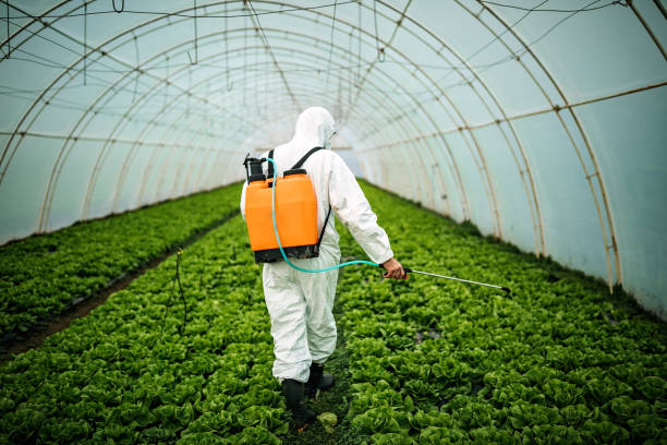Best Commercial Pest Control Services  in Shamokin Dam, PA