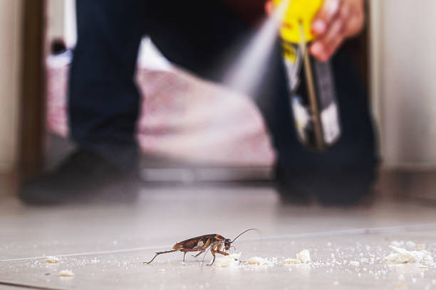 Best Best Pest Control Companies  in Shamokin Dam, PA