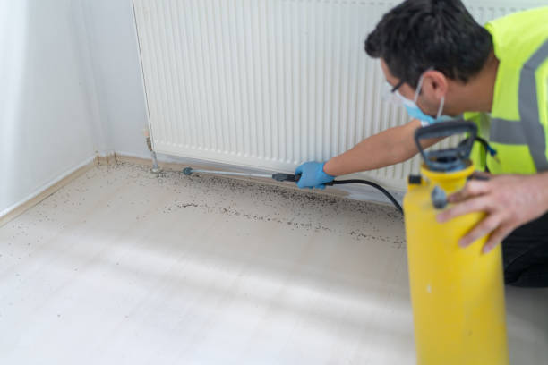 Best Cockroach Control Services  in Shamokin Dam, PA